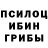 Псилоцибиновые грибы прущие грибы 3 scooters